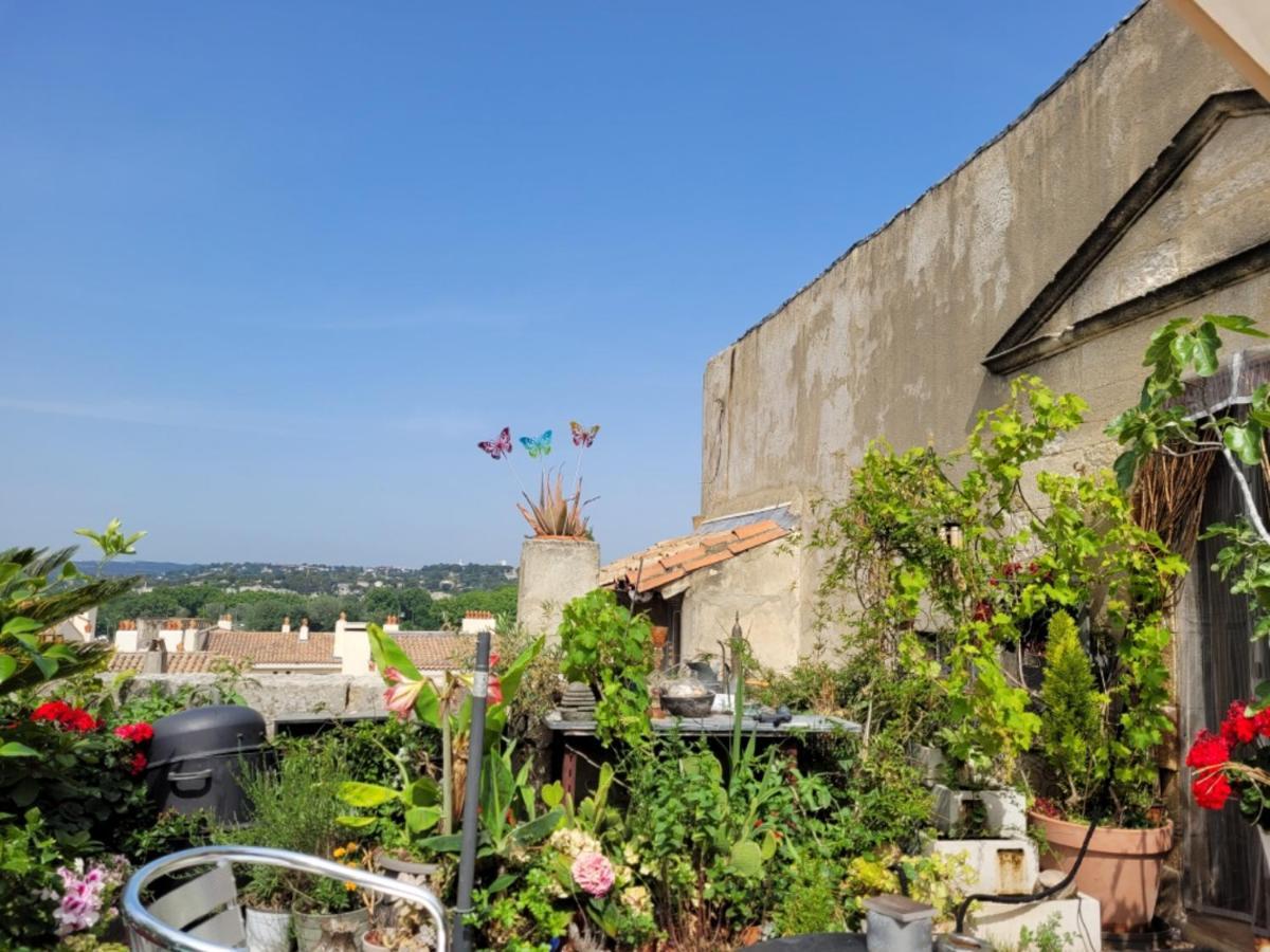 Apartmán Un Nid Sur Les Toits Face Au Palais Des Papes Avignon Exteriér fotografie